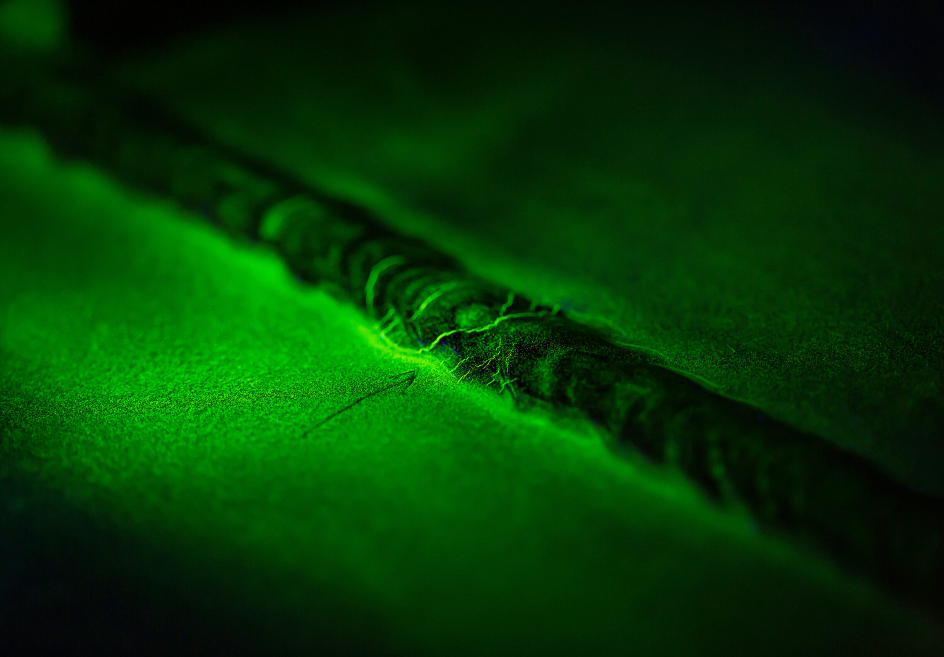 Our Quality Assurance